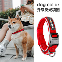 Donis dog collar Small and medium-sized dog pet dog ring anti-break free without neck ring Shiba Inu law fighting collar