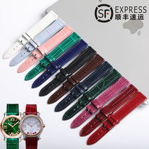 Dassov for Chopin Chopin HappySport Alligator Watch with Leather Leather