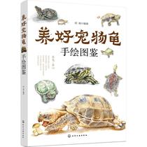 Raise the pet turtle hand-painted picture book Hu Hai life leisure life chemical industry press Liaohai