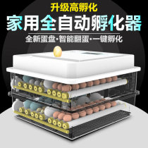 Warm Cube Chicken Incubator Fully Automatic Small Smart Home Incubator Hatchery Duck Goose and Pigeon Hatchery