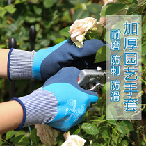 Stab-proof breathable gardening gloves garden flower cultivation non-slip wear-resistant labor protection gloves with claw vegetable digging tool