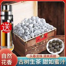 Puer tea tea Yi Wu Longzhu Yunnan Xiaotuo tea ancient tree material Puer bulk gift box 500g