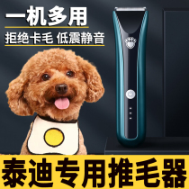 Teddy Special Pooch Hairdryer Electric Push Cut shave Divine Instrumental Pet Pushers Fur Tools Professional Pushers