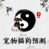 Master Yun Cheng looking for a dog Looking for a cat Running lost pet to find a small six Ren prediction Looking for a dog looking for a cat Professional dog looking team