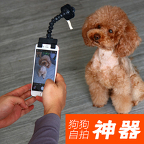 Dog photo cat look at Lens mobile phone holder pet selfie artifact black PVC material cat dog pet toy