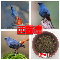 Xishutang Shiyan bird food North red-tailed bird feed spring warm nutrition strong bird eating insect-addicted bird food feed