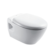 HC0149PN Concealed Cistern Toilet