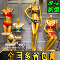 High-end model props gather underwear female full-body model dummy window display Swimsuit bra half-body model rack