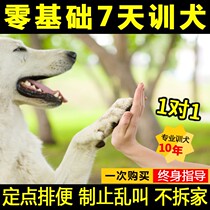 Dog training tutorial dog training video pet dog training artifact supplies dog trainer guidance service 2021 New