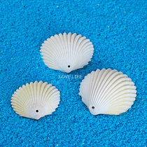 Natural Perforated Shell Perforated Conch Kindergarten Children's Creative Handmade diy Activity Material Home Decoration