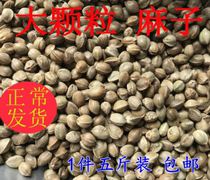 5kg large pock seed hemp parrot niao food feed niao liang cang shu liang pigeon food