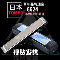 Japan Tongbao TOMBO harmonica 6624 adult 24 hole Polyphonic C harmonica beginner professional performance musical instrument
