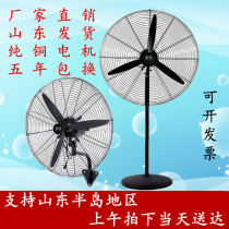 High-power industrial electric fan large wind Wall fan strong wall Horn fan 750mm barbecue factory floor fan