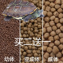 gui liang turtle dedicated food stone jin qian gui feed hatchlings opening grain Brazil the big tortoise tortoise food calcium