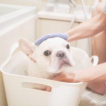 Bagbrother Bathbasin Fou Pet Bathtub Dog Bidet Cat Shower Bath Tub Small Dog Bathing Basin Kennel Toy Containing Basket