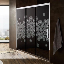 Yueyang Avenue 1 F rosery shower room must be an integer in the shower room partition household bathroom sliding door-wet and dry separation