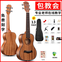 Single board Ukulele Beginner student Adult female male 23  26  Ukulele childrens entry small guitar