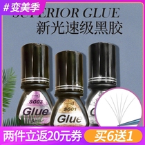 jovisa store with glue second flowering grafting planting false eyelash speed dry firm durable beauty tool