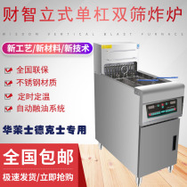 Financial-Wise Computer Version Electric Fryer Fryer Fried Chicken Steak Fries Oil Bar