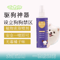 Cat urination prevents cat from catching sofa artifact cat most afraid of smell thing Lemon Orange spray drive Cat B