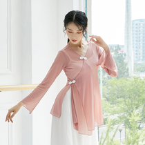 Classical dance suit Female elegant body rhyme suit Gauze National Chinese dance practice suit Performance suit Art archaeological style suit