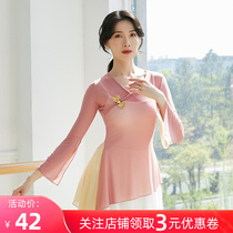 Classical Dance Costume Female Floating Training Costume Color Examination Performance to the National Chinese style rhyme dance dress