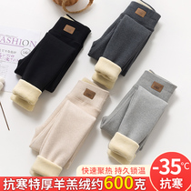 Lambness leggings Womens autumn and winter plus velvet thickened outer wear Northeast one pants size fat mm extra thick warm cotton pants