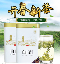 Anji white tea 2021 new tea before the rain special gift box rare green tea spring authentic alpine bulk tea
