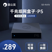 Dandelion P5 one thousand trillion Bypass Networking Box NAS Partner Enterprise-Grade Wireless Remote Smart Cloud Printing Server U Disk Hard Disk Changing Cloud Disk Off-site Formation LAN Support PoE Powered
