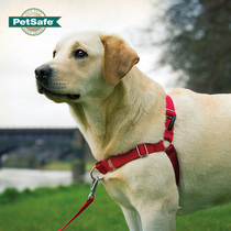 American PetSafe Beadaptable Easywalk Dogs Chest Braces Explosion-proof Traction Rope for large dogs in dog
