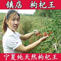 Head stubble New cargo of Chinese wolfberry Ningxia Zheng Zhongning large grain medlar Wang Honggou Gou Ji Dry Wolfberry Tea 500g