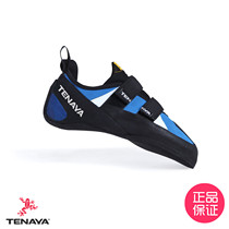 Tenaya Tana Tanya climbing shoes sticky buckle non-slip training Bear Rock climbing