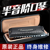 EASTTOP Dongfang Ding Pioneer 12 Hole No Membrane Harmonica Playing Novice Beginner Introduction Practice