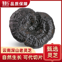 Deep mountains and wild black Ganoderma lucidum dry goods Linzhi pruning purple Ganoderma lucidum can be sliced Yunnan wild Ganoderma lucidum 500 grams