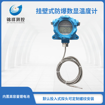 High-precision New Jinxiang measurement and control type local display digital thermometer waterproof industrial instrument cable type
