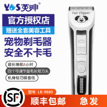 English Gentry Official Flagship Store Professional Pet LB-9880 Shave Hair Dresser Beautician with gross electric cut and cut pushers