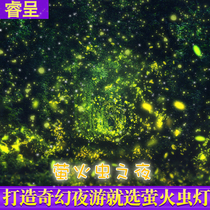 Outdoor lighting starry Firefly waterproof light tree light floodlight scenic garden laser laser stage lighting
