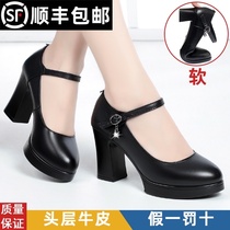 Leather cheongsam catwalk high heels thick heel round head waterproof table womens leather shoes one-word buckle mom dancing shoes single shoes