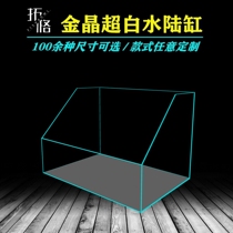 Ultra-white water and land fish tank plant landscape cylinder micro landscape oblique mouth landscape landscape landscape cylinder gold crystal glass amphibious ecological tank rainforest