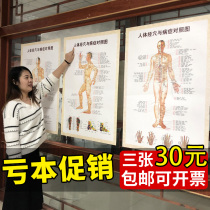 Human body twelve-four Meridian hole map and disease control wall chart Chinese medicine wall chart standard hole map home ys