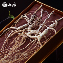 Seven Ji Ginseng Changbai Mountain Northeast Forest Ginseng Laoshan Ginseng Gift Box Ginseng Liquor Special Wild Ginseng Base
