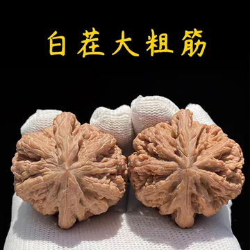 大粗筋核桃 文玩胡桃 クルミ