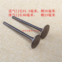 Dayang motorcycle pedal running Gege Taishan DY100T-6 -8 125T-16 26 intake and exhaust valve EG138