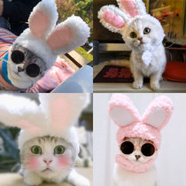 Cat hairpin Rabbit hair card Cute hat Pet hair ornament Puppy dog headdress Cat headgear Shaking sound Rabbit ear cap