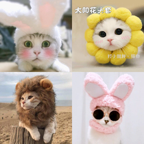  Cute cat headdress Rabbit ear hat Pet headgear Cat hat Rabbit ear headgear funny funny transformation hat
