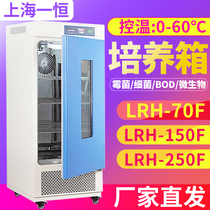 Shanghai Yiheng lrh-70 150F biochemical incubator laboratory mold bacteria bod constant temperature and humidity test chamber