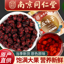 Nanjing Tongrentang Schisandra Flagship Store New South Changbai Mountain Powder North Schisandra Tea Dry Chinese Medicinal Materials