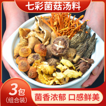Colorful fungus soup bag Yunnan specialty Agaricus blazei mushroom mushroom soup package dried soup stewed chicken ingredients mushroom bag