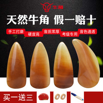 Horn Guzheng Nail Groove Double Arc Thickened Natural Material Professional Adult Beginner Child Small