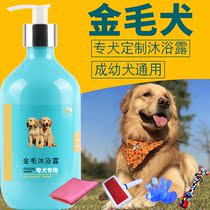 Golden retriever special shower gel Dog sterilization Deodorant Anti-itching Puppy bath Pet supplies Acaricide antibacterial shampoo